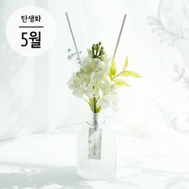 [It's My Flower] Birth of May Lilac diffuser set, Air Freshener _ Made in KOREA